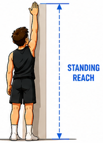 Cartoon showing how to measure standing reach