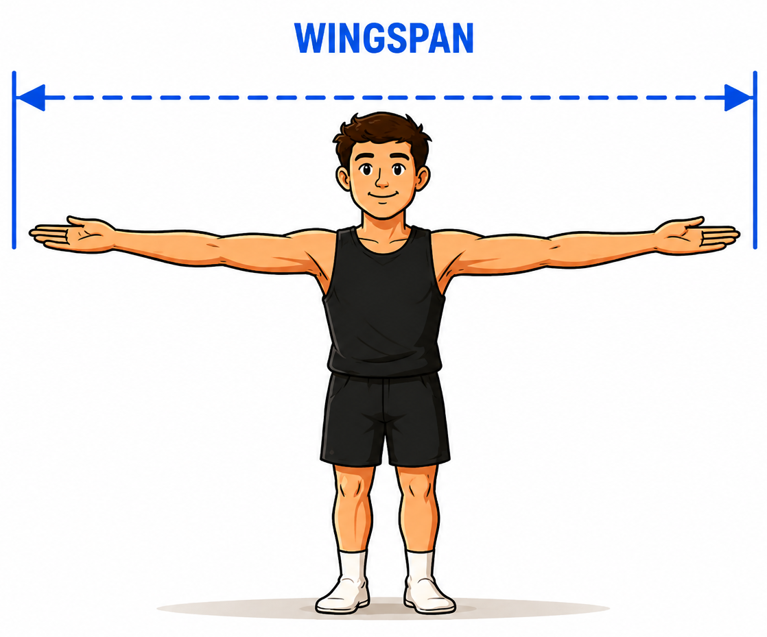 Cartoon showing how to measure wingspan with arms extended